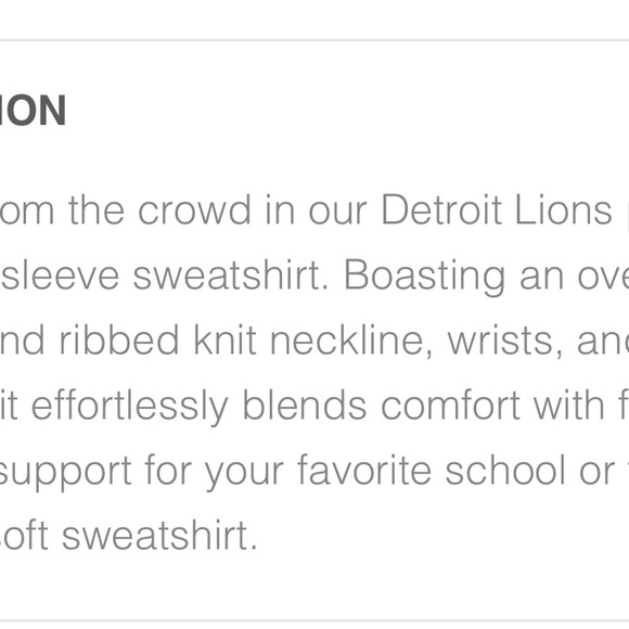 Detroit Graphic Crewneck Sweatshirt - Grey - Picture 3 of 9